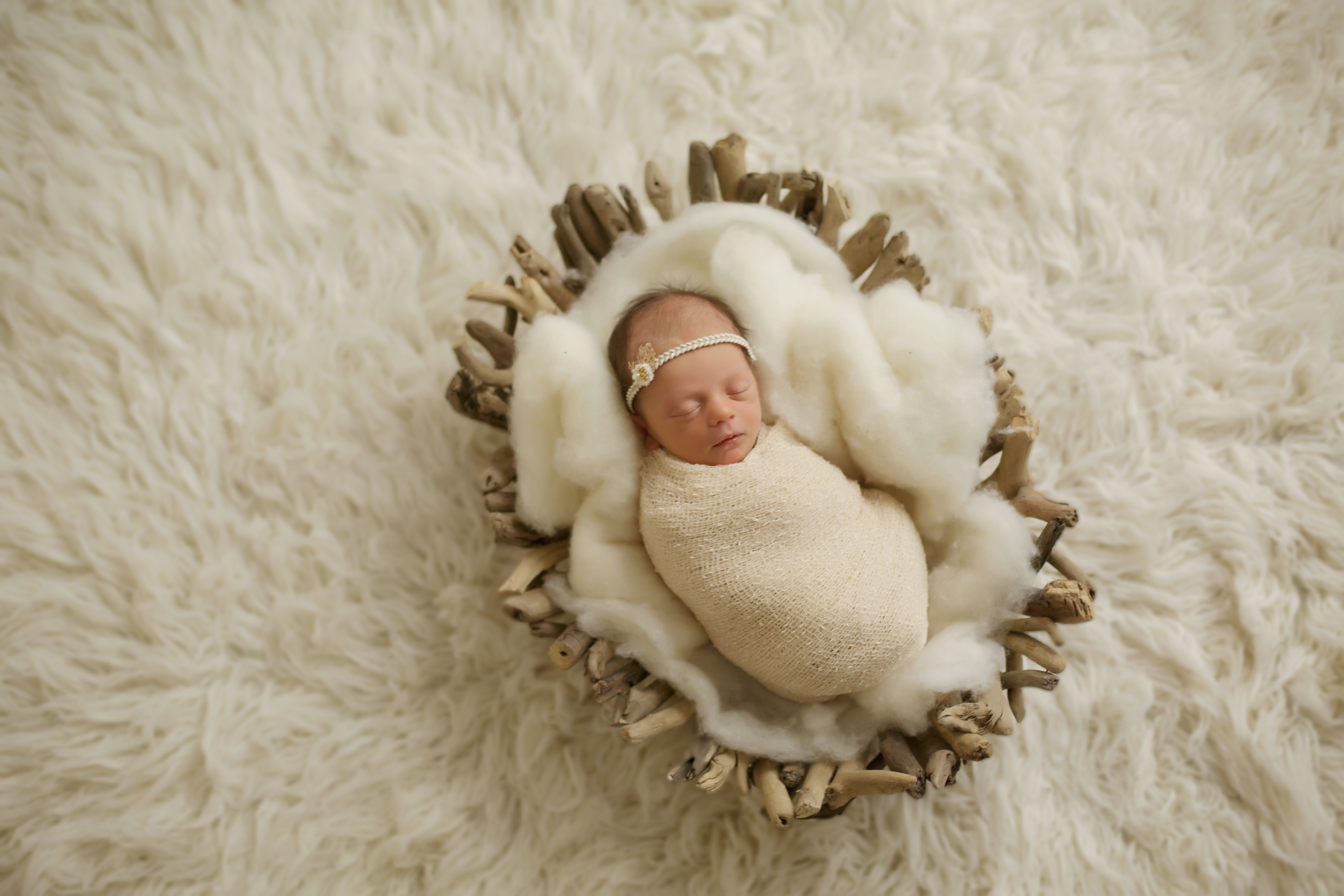 Georgetown/Lexington KY Newborn Photography